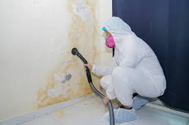 Why You Should Choose Our Mold Remediation Services in Racine, WI